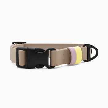 Beiger verstellbarer Hundehalsband mit schwarzer Kunststoffschnalle und Metallring, beschriftet mit "THE DOG OLA."