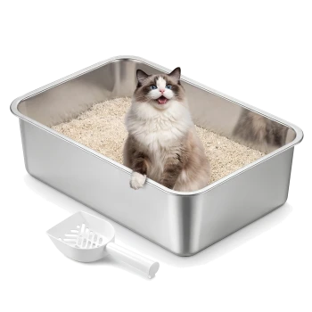 Flauschige blauäugige Ragdoll-Katze sitzt in einer Katzentoilette aus Edelstahl, gefüllt mit granuliertem Streu, daneben eine weiße Schaufel.
