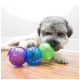 A fluffy dog with a gray and white coat plays with three colorful chew balls: purple, blue, and green, on a wooden floor.
