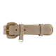 Beige Leder-Haustierhalsband mit goldener Schnalle und verstellbarem Riemen, mit dem geprägten Text "WILLIAM & WAGGER."