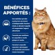 Un chat orange duveteux avec un collier bleu est assis à côté d'un panneau bleu détaillant les avantages de la nourriture pour chats pour la fonction rénale et la santé musculaire.