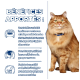 Un chat orange duveteux avec un collier bleu est assis à côté d'un panneau bleu détaillant les avantages de la nourriture pour chats pour la fonction rénale et la santé musculaire.