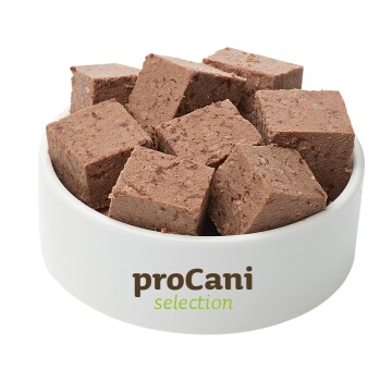 Würfel von Haustierfutter in einer weißen Schüssel mit der Aufschrift "proCani Auswahl."