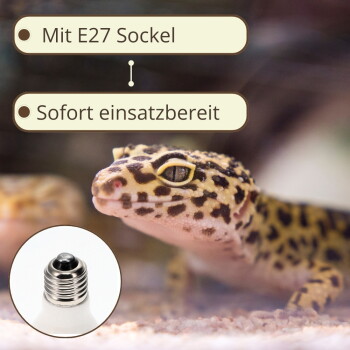 Nahaufnahme eines Leopardengeckos mit eingeblendetem E27-Sockel; sichtbarer Text 'Mit E27 Sockel' und 'Sofort einsatzbereit'.