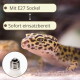 Nahaufnahme eines Leopardengeckos mit eingeblendetem E27-Sockel; sichtbarer Text 'Mit E27 Sockel' und 'Sofort einsatzbereit'.