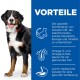 Ein glücklicher Berner Sennenhund steht neben einem blauen Panel, das die Vorteile von Hundefutter für die Gehirnfunktion, Energie und ein glänzendes Fell auflistet.