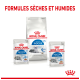 Produits alimentaires Royal Canin pour chats d'intérieur âgés de 7 ans et plus, présentant des formules sèches et humides, avec un accent sur la nutrition de santé féline.