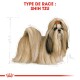 Illustration d'un chien Shih Tzu avec un pelage long et fluide et un nœud rouge, étiquetée "TYPE DE RACE: SHIH TZU" en texte rouge gras.
