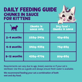 Daily Feeding Guide for kittens: chunks in sauce vs dry+chunks, feeding amounts for 2–4m, 4–9m, 9–12m, cartoon cat
