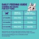Daily Feeding Guide for kittens: chunks in sauce vs dry+chunks, feeding amounts for 2–4m, 4–9m, 9–12m, cartoon cat
