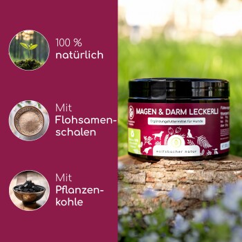 Ein Hund sitzt auf Gras vor einem Glas mit der Aufschrift "Magen & Darm Leckerli", mit Symbolen und Text, die die Vorteile für die Verdauungsgesundheit hervorheben.