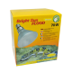 Verpackung der Bright Sun Flood 70W Lampe für Wüstenreptilien, mit einer Metallhalogenlampe und einem Bild eines Leopardgeckos.