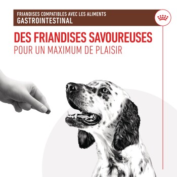Une main tenant une friandise au-dessus d'un chien heureux et tacheté, avec le texte "Des friandises savoureuses pour un maximum de plaisir" affiché en évidence.