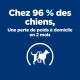 Image promouvant un programme de perte de poids pour chiens : "96 % des chiens perdent du poids à la maison en 2 mois" avec un graphique de chien et de ruban à mesurer.