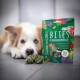 Grüne SmoothieDog Bites Tüte mit gefriergetrocknetem Lamm (SMOOTHIEDOG BITES, LAMM, FREEZE DRIED) und unscharfem Hund im Hintergrund