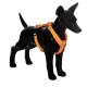 Eine schwarze Hundemannequin, die ein leuchtend orangefarbenes Geschirr mit reflektierenden Streifen trägt, das das Haustierzubehör präsentiert.
