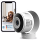 Eine Haustierkamera in Weiß mit einem schwarzen Objektiv, neben einem Smartphone, das einen Golden Retriever und eine graue Katze zeigt, mit dem Text "DSGVO Konform".