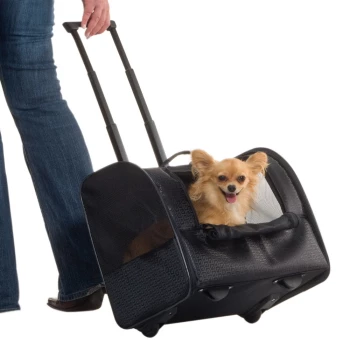 Sacs de transport pour chien