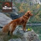 Ochraniacze na łapy Hiker M