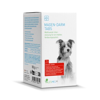 Schachtel mit Magen-Darm-Tabletten für Hunde, mit einem Hund auf der Vorderseite, mit Text, der die Verdauungsunterstützung und probiotische Vorteile hervorhebt.