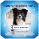 Glücklicher schwarz-weißer Hund mit Fütterungsempfehlungstext auf Deutsch: „x1 Stick jeden Tag“ und Pflegehinweisen auf blauem Hintergrund.