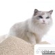 Eine flauschige weiße Katze sitzt neben einem großen Haufen Katzenstreu, mit einem Diagramm, das eine Katzentoilette zeigt, die bis zu einer Höhe von 6-7 cm gefüllt ist.