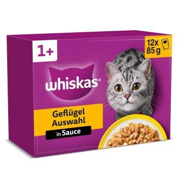 Whiskas-lila Katzenfutterbox mit Bild einer getigerten Katze, Text „Geflügel Auswahl in Sauce“, „1+“ und „12x 85 g“.