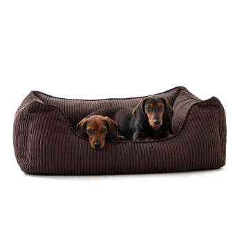 Braunes Cord-Hundebett mit erhöhten Kanten für Komfort, mit einem kleinen Schild, das 'PAW WOW' liest.