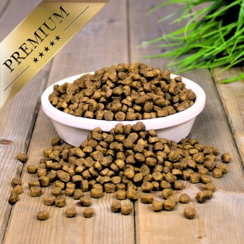Eine Tüte LECKER.PET Haustierfutter ist umgekippt und lässt kleine braune Kibble auf eine Holzoberfläche fallen, mit bunten Katzenspielzeugen in der Nähe.