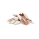 A pile of dog chew treats shaped like hollow bones, featuring a white exterior and a reddish-brown filling.