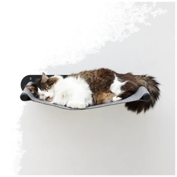 Flauschige braun-weiße Langhaar-Katze schläft auf einem grauen, wandmontierten Filz-Hängemattenregal