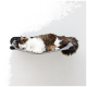 Flauschige braun-weiße Langhaar-Katze schläft auf einem grauen, wandmontierten Filz-Hängemattenregal