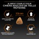 Aliment complet pour chiens adultes de taille moyenne, croquette de 17,5 mm, sans colorants ajoutés, riche en protéines, haute digestibilité.