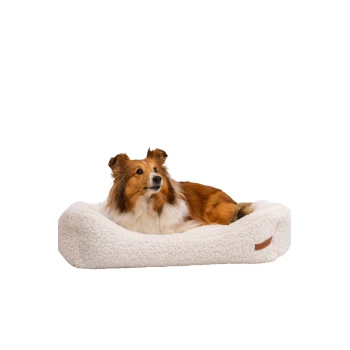 Ein flauschiges, cremefarbenes Hundebett mit einem braunen Lederetikett, auf dem ein Collie bequem darauf ruht.
