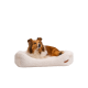 Ein flauschiges, cremefarbenes Hundebett mit einem braunen Lederetikett, auf dem ein Collie bequem darauf ruht.