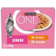 Roze Purina ONE Junior kattenvoerdoos met kitten en bord natvoer, toont 'PURINA ONE', 'JUNIOR', 'X4 met kip/zalm', 8x85g