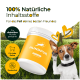 Gelber "HUNDPUR" Behälter mit "HAUT & FELL" und Symbolen für diabetische Hunde auf einem grasbewachsenen Hintergrund.