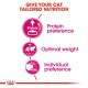 Infographic "Give Your Cat Tailored Nutrition" highlights protein preference, optimal weight, and individual preference with icons.