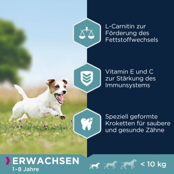 Ein verspielter Hund auf einem grasbewachsenen Feld, mit Text über L-Carnitin, Vitamine E und C sowie Zahngesundheits-Kibbles. Etikett: "ERWACHSEN 1-8 Jahre < 10 kg."