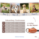 Vier Hunde: Bruno S, Amala M, Greta L, Kaiser XL. Größentabelle für Halsbänder: S, M, L, XL. Text: "Kollektion Harmony" und "4 Größen für alle Rassen."