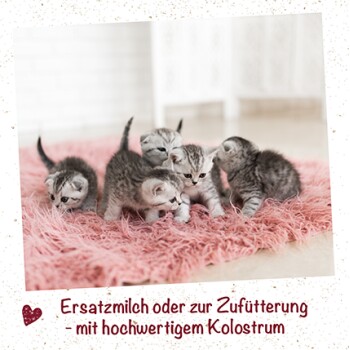 feliTATZ Kittenmilch 90g 750 g
