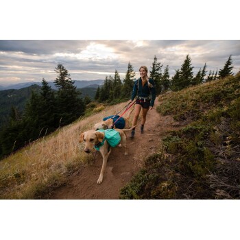 Eine Frau wandert auf einem Pfad mit zwei Hunden, einer trägt ein grünes Geschirr, umgeben von Bäumen und Bergen unter einem bewölkten Himmel.
