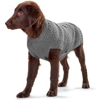 Ein brauner Hund, der einen gemütlichen, gestrickten grauen Pullover trägt, steht auf einem weißen Hintergrund und zeigt seine stilvolle Haustierbekleidung.