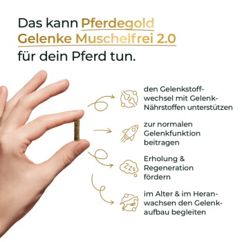 Hand hält ein kleines Pellet neben dem deutschen Text: „Das kann Pferdegold Gelenke Muschelfrei 2.0 für dein Pferd tun.“