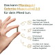 Hand hält ein kleines Pellet neben dem deutschen Text: „Das kann Pferdegold Gelenke Muschelfrei 2.0 für dein Pferd tun.“