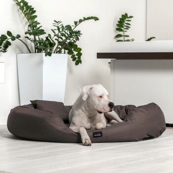 Ein weißer Hund, der auf einem braunen Haustierbett in einem modernen Raum mit grünen Pflanzen im Hintergrund entspannt.