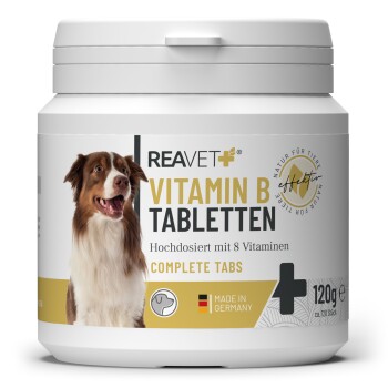 Behälter mit REAVET Vitamin B Tabletten für Hunde, mit einem lächelnden Hund und dem Text: "Hochdosiert mit 8 Vitaminen," "Made in Germany."