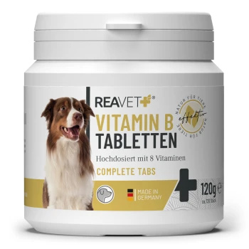 Behälter mit REAVET Vitamin B Tabletten für Hunde, mit einem lächelnden Hund und dem Text: "Hochdosiert mit 8 Vitaminen," "Made in Germany."