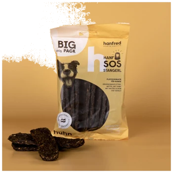 Hundeleckerlis in einer gelben Tüte mit der Aufschrift 'BIG PACK' und einer Hundegesicht-Illustration, mit 'HANF SOS STANGERL' und 'FLEISCHSNACK FÜR HUNDE.'