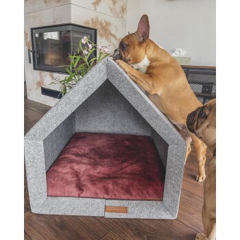 Ein brauner Französischer Bulldogge schaut in ein stilvolles graues Filz-Hundehäuschen mit einem burgunderfarbenen Kissen im Inneren, während ein anderer Bulldogge in der Nähe steht.